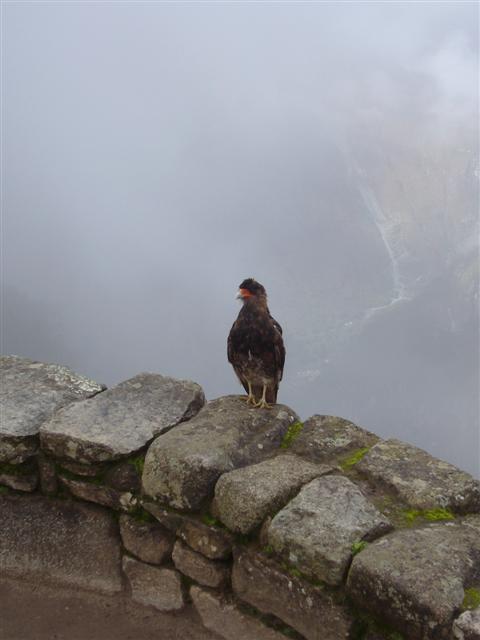 Travel - Peru - Machu Picchu - The Tour